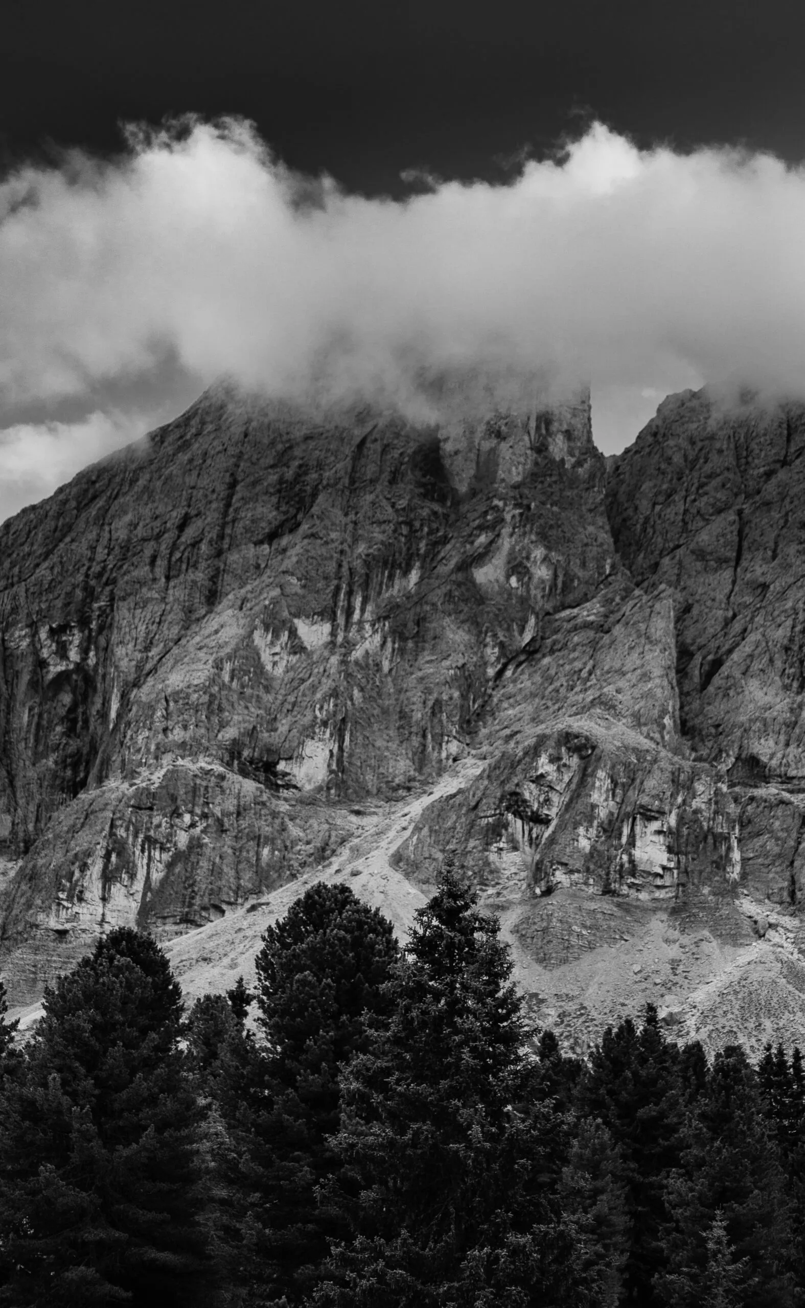 The Wall – image 33